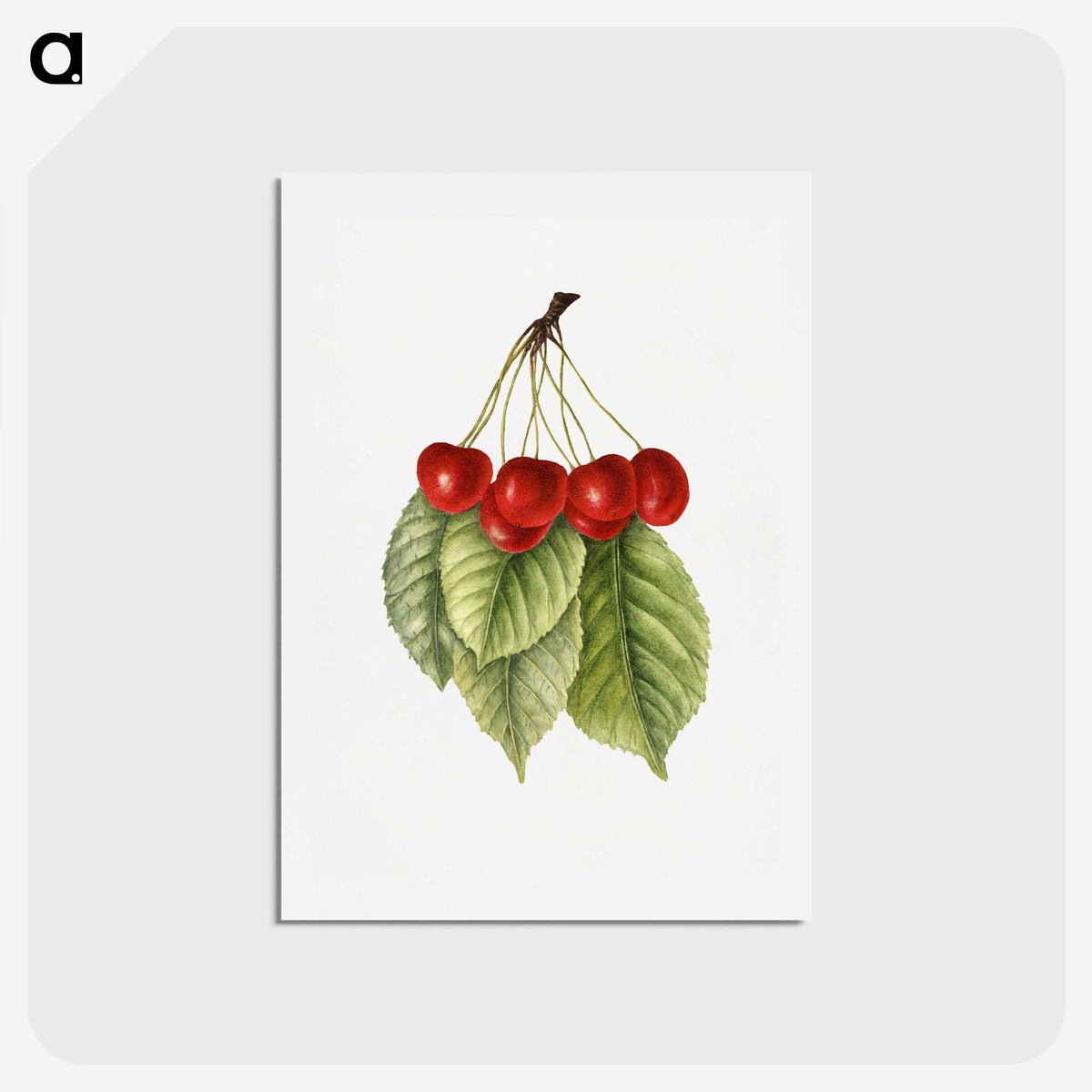 3-40_USDA-Watercolor-Fruit-Painting-Collection_hagaki