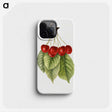 3-40_USDA-Watercolor-Fruit-Painting-Collection_phone