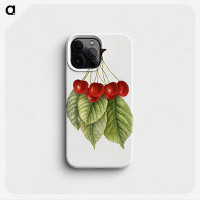 3-40_USDA-Watercolor-Fruit-Painting-Collection_phone