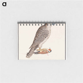 アートメモ帳-Gyrfalcon - アンセルムス ボエティウス デ ブート Memo.