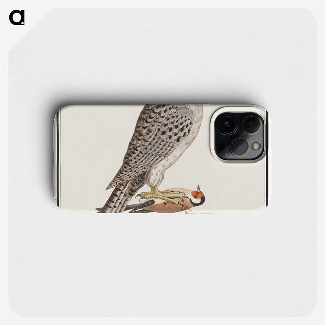 3-41_Anselmus-Boetius-de-Boodt_phone