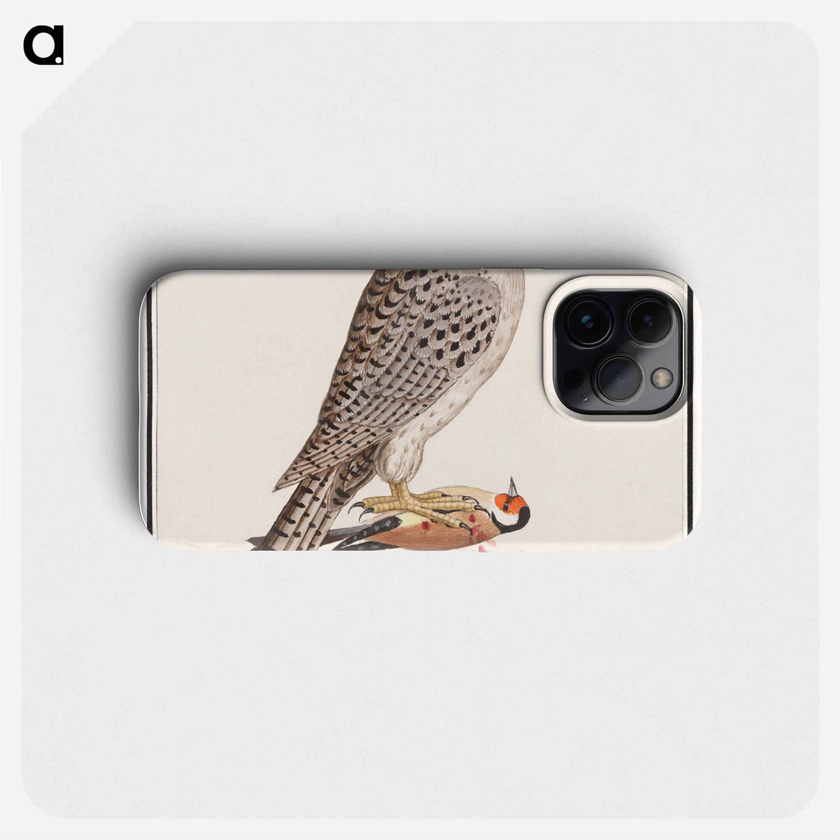 Gyrfalcon - アンセルムス ボエティウス デ ブート Phone Case.
