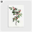 アートポストカード-Branches de Cérises précoce
 - クリーブランド美術館 Postcard.