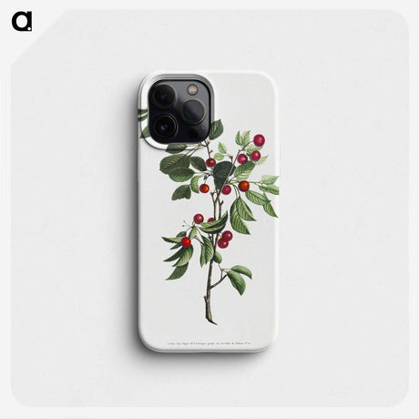 3-41_Cleveland-Museum-of-Art_phone