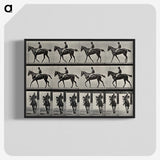 3-41_Eadweard-Muybridge_blk-crop