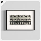 3-41_Eadweard-Muybridge_blk