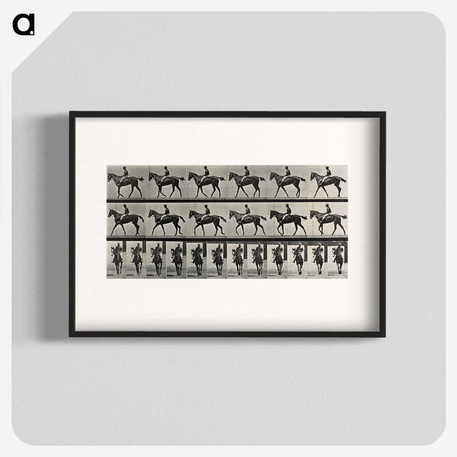 3-41_Eadweard-Muybridge_blk