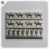 3-41_Eadweard-Muybridge_canvas