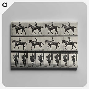 3-41_Eadweard-Muybridge_canvas