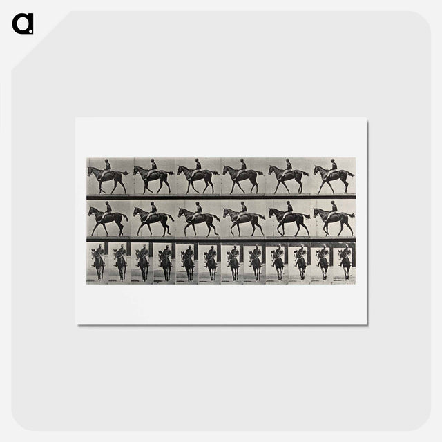 アートポストカード-Jockey on Horseback
 - エドワード マイブリッジ Postcard.