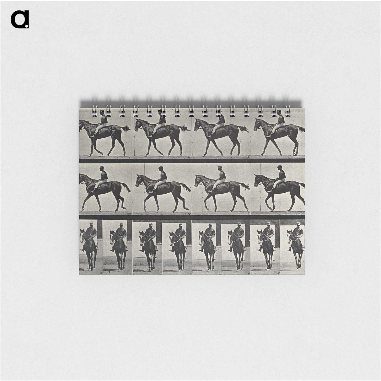 3-41_Eadweard-Muybridge_memo
