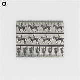 3-41_Eadweard-Muybridge_memo