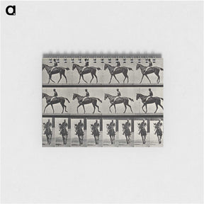 3-41_Eadweard-Muybridge_memo