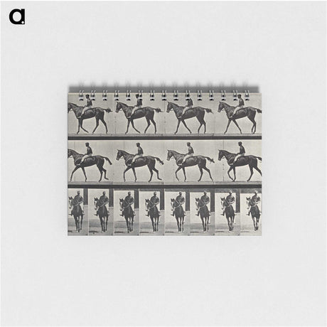3-41_Eadweard-Muybridge_memo