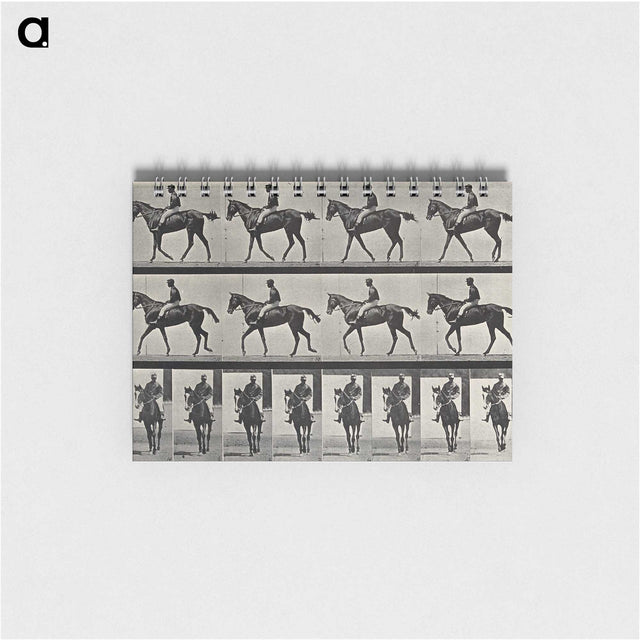 3-41_Eadweard-Muybridge_memo