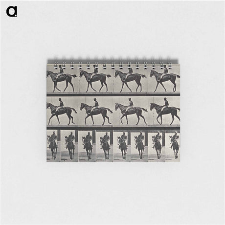 アートメモ帳-Jockey on Horseback
 - エドワード マイブリッジ Memo.