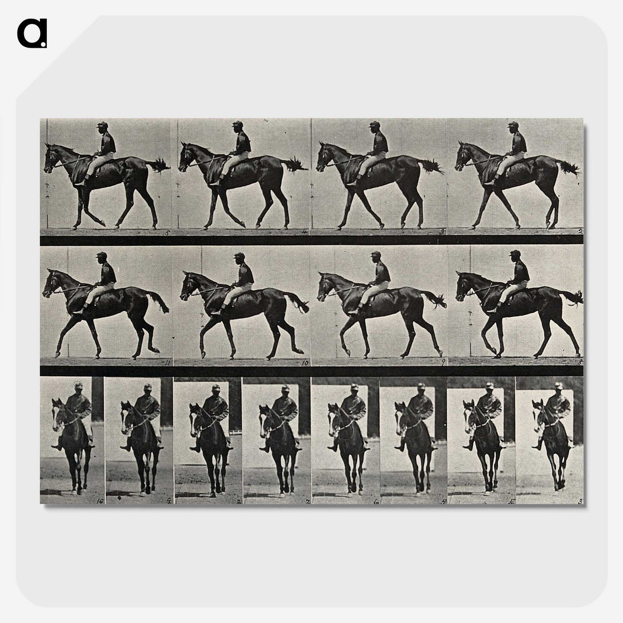 3-41_Eadweard-Muybridge_picture-crop