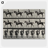 3-41_Eadweard-Muybridge_picture-crop