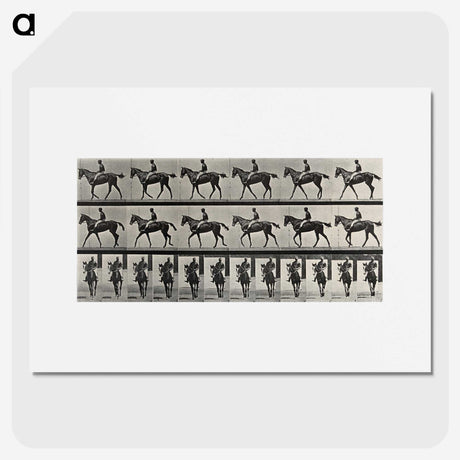 3-41_Eadweard-Muybridge_picture