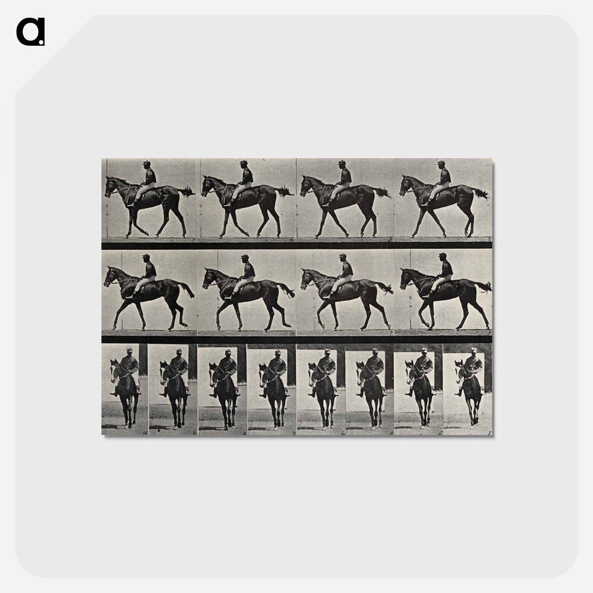 アートポストカード-Jockey on Horseback
 - エドワード マイブリッジ Postcard.