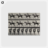 アートポストカード-Jockey on Horseback
 - エドワード マイブリッジ Postcard.