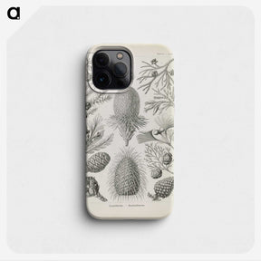 3-41_Ernst-Haeckel_phone