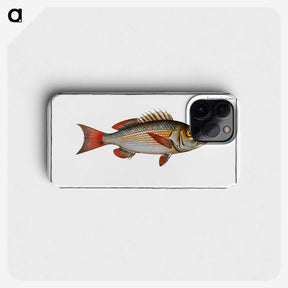 3-41_Ichtyologie-ou-Histoire-naturelle_phone