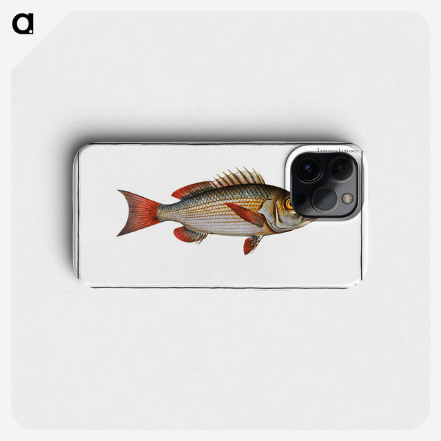 3-41_Ichtyologie-ou-Histoire-naturelle_phone