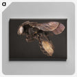 3-41_Insects-Unlocked-Project_canvas