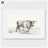 3-41_Jean-Bernard_picture