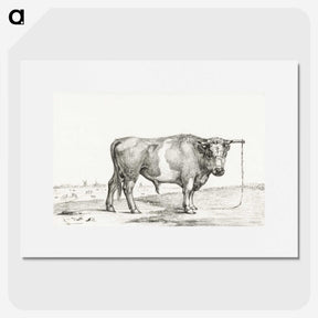 3-41_Jean-Bernard_picture