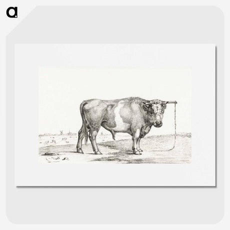 3-41_Jean-Bernard_picture
