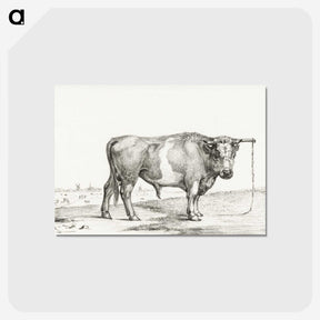 3-41_Jean-Bernard_postcard