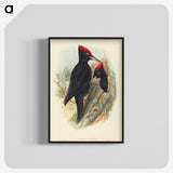 3-41_John-Gould_blk-crop
