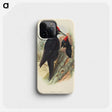 3-41_John-Gould_phone