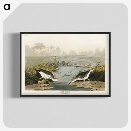 3-41_John-James-Audubon_blk-crop