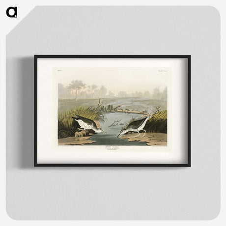 3-41_John-James-Audubon_blk
