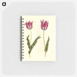 アートメモ帳-Tulipa Gesneriana
 - マリア ジビーラ メーリアン Memo.