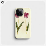 3-41_Maria-Sibylla-Merian_phone
