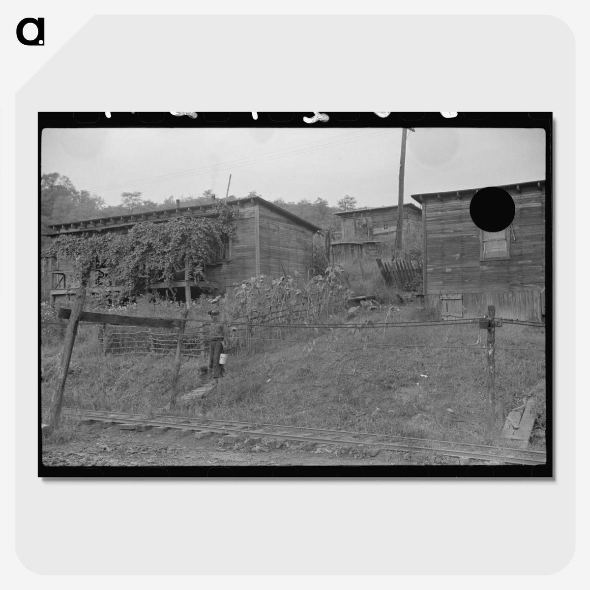 3-41_Marion-Post-Wolcott_picture-crop