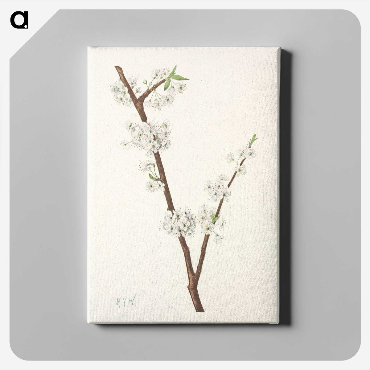 3-41_Mary-Vaux-Walcott_canvas