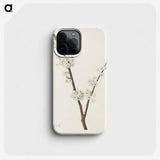 3-41_Mary-Vaux-Walcott_phone