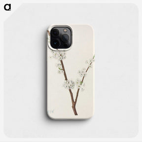 3-41_Mary-Vaux-Walcott_phone