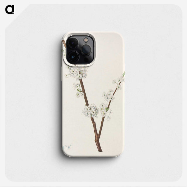 3-41_Mary-Vaux-Walcott_phone