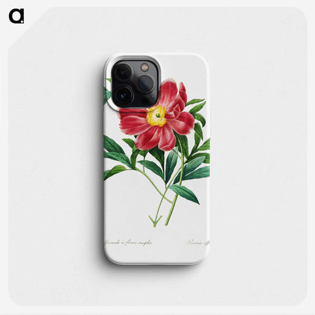 3-41_Pierre-Joseph-Redoute_phone