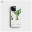 3-41_The-Lilies_phone