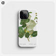 3-41_Treatise-on-Trees-and-Shrubs_phone