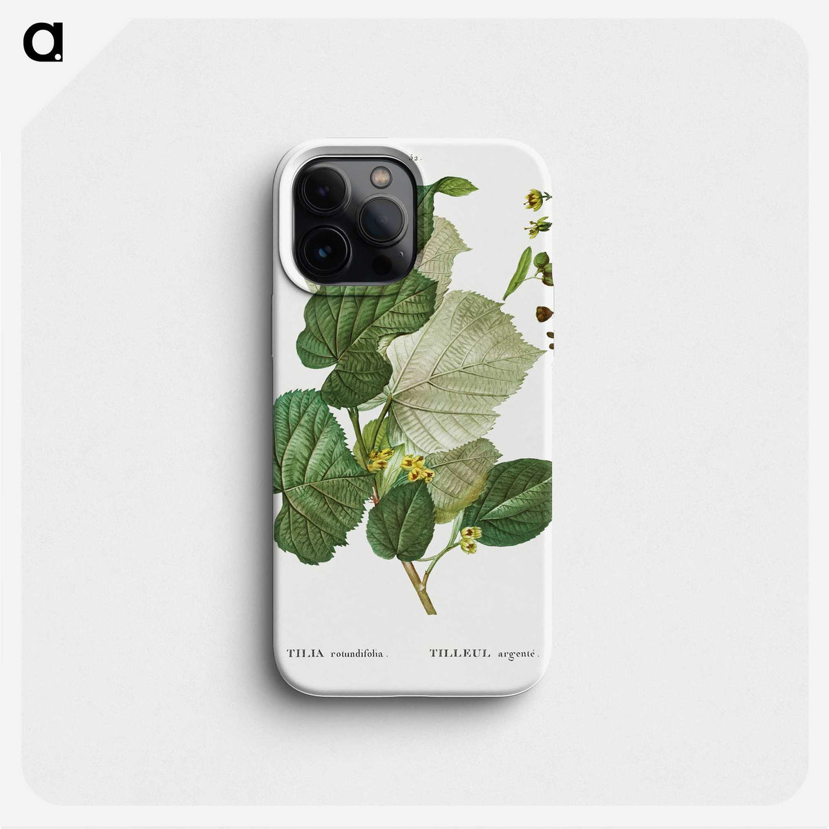 3-41_Treatise-on-Trees-and-Shrubs_phone