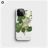 3-41_Treatise-on-Trees-and-Shrubs_phone