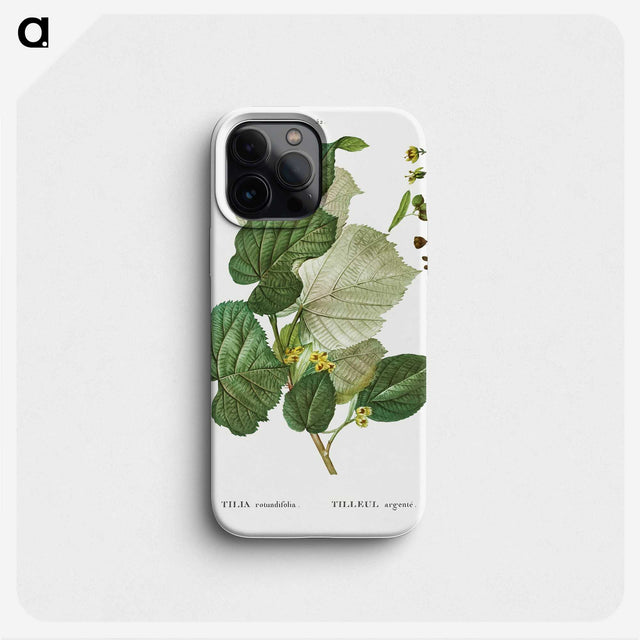 3-41_Treatise-on-Trees-and-Shrubs_phone